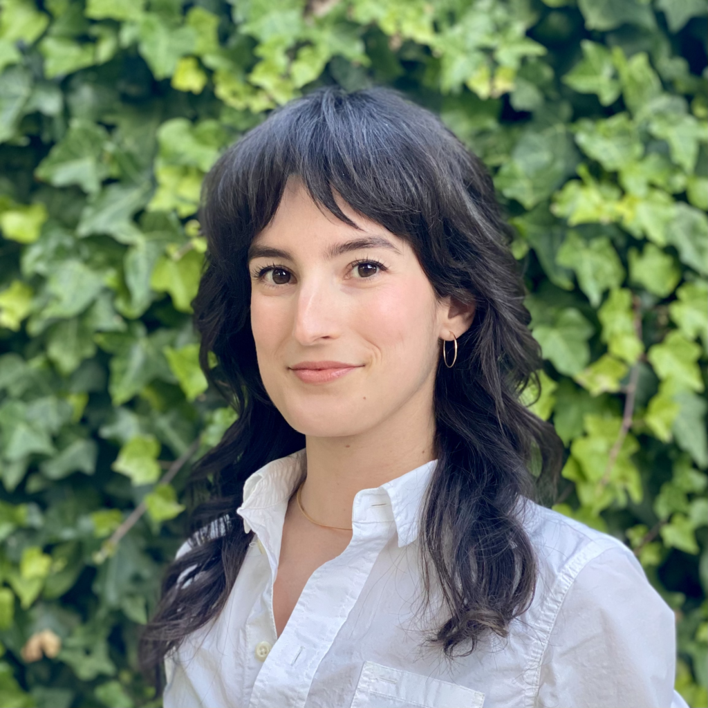 Ashley Johnson DSPolitical